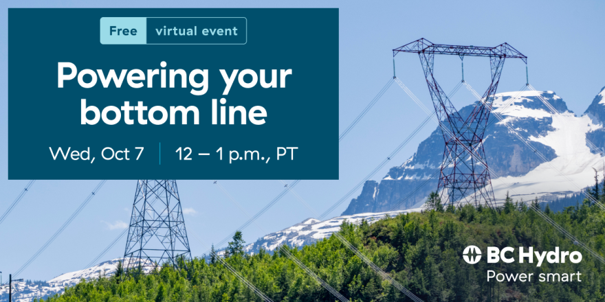 Picture of hydro transmission lines towering above a forest with mountains in the background